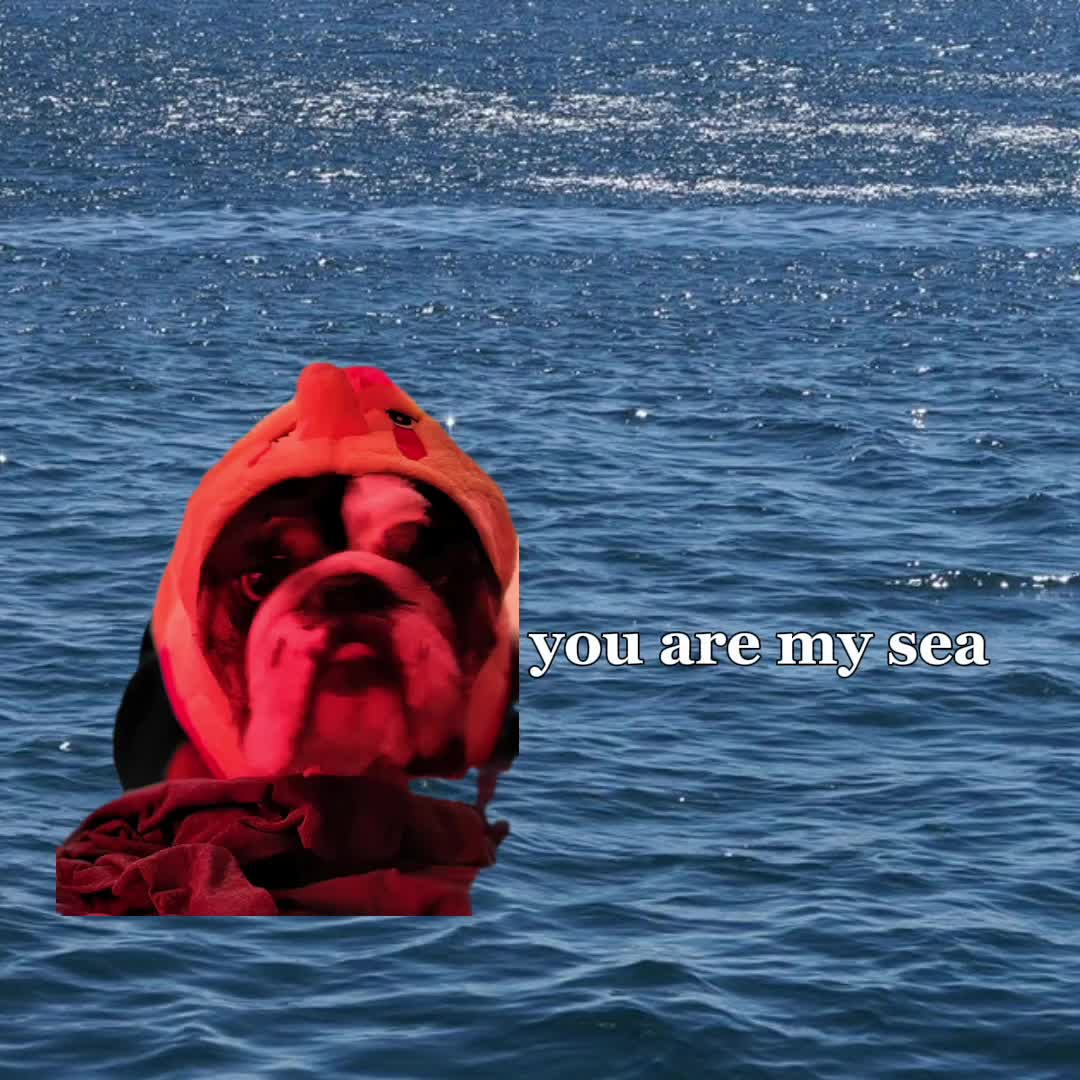 @Patty P