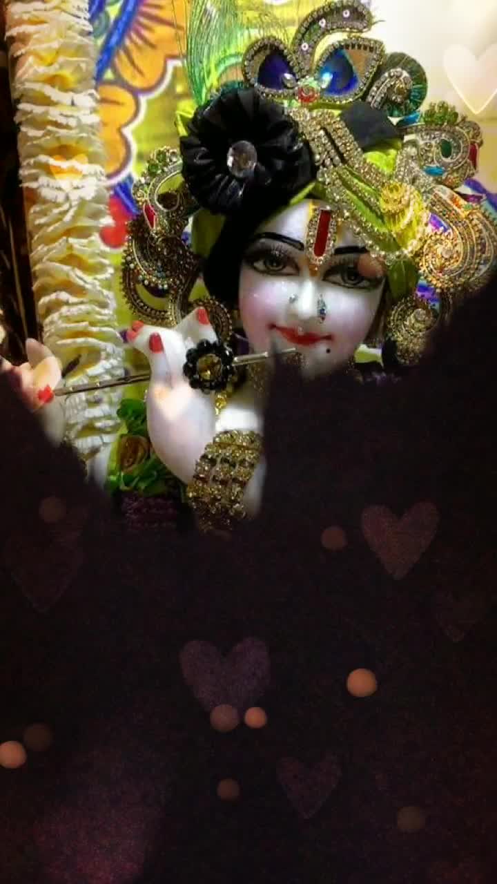@riddhibhardwaj1315