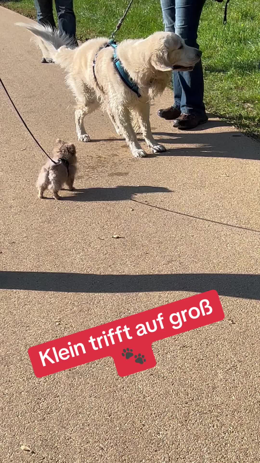 @𝒦𝑒𝓇𝓈𝓉𝒾𝓃 🤗