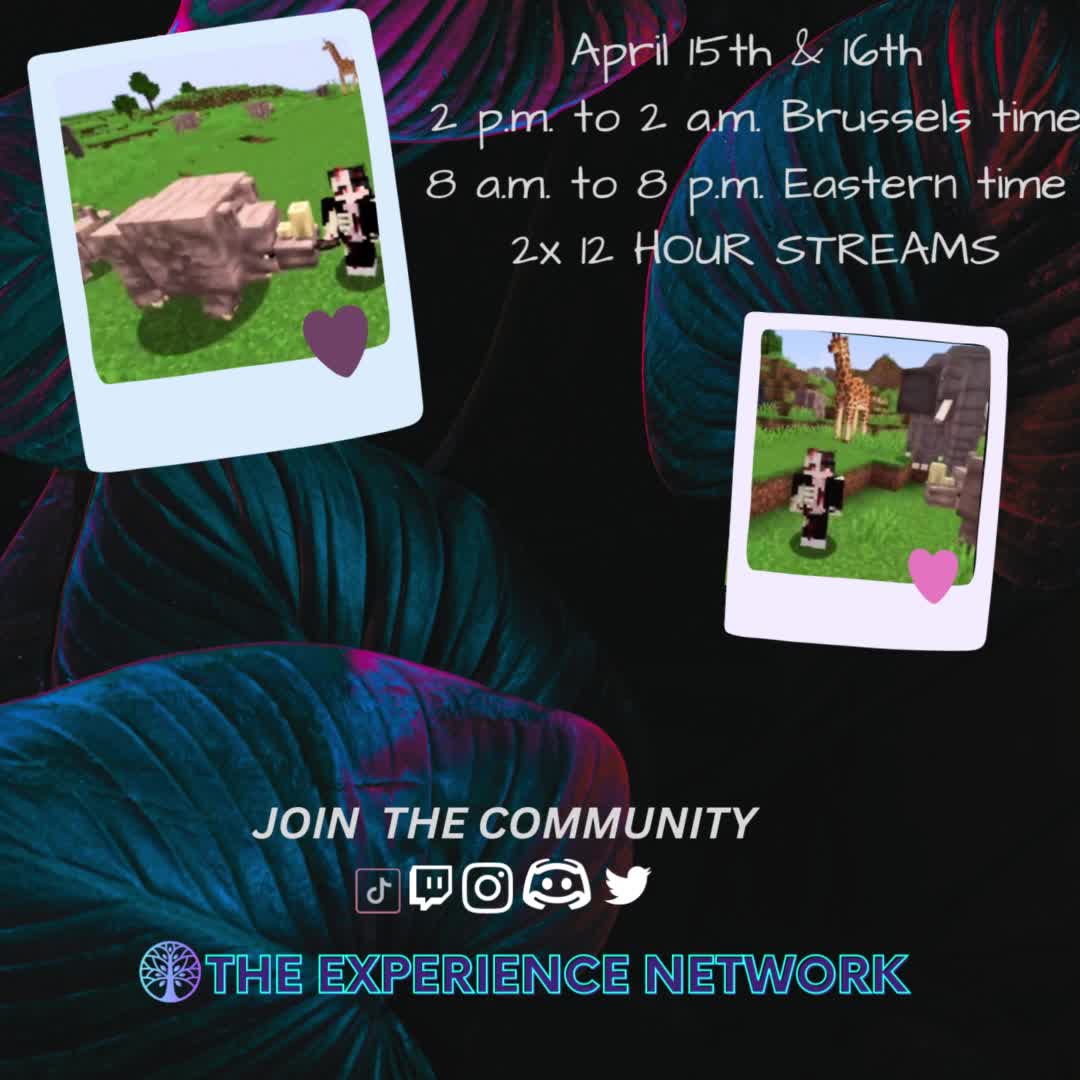@The Experience Network