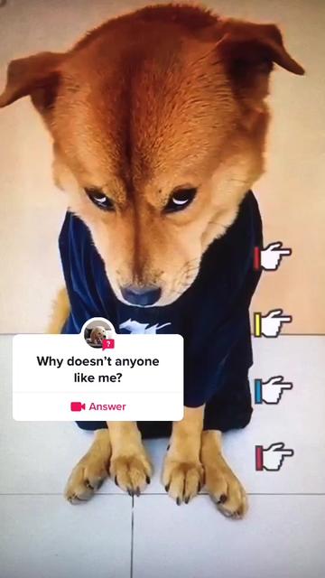 @xixite