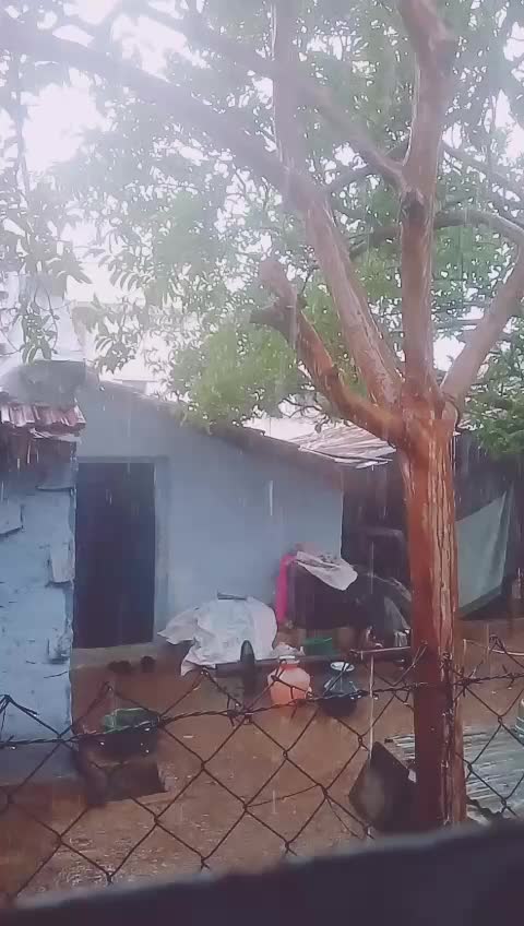@dhivyarajesh3