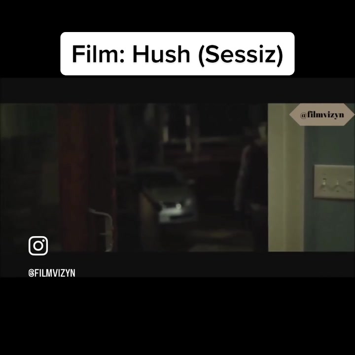 @FilmVizyn