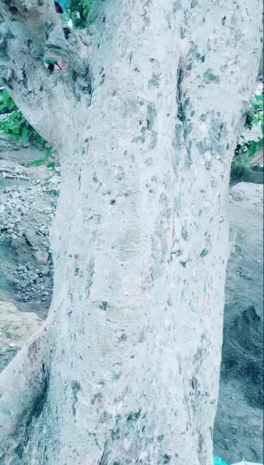 @Raj Nayak pawar 786
