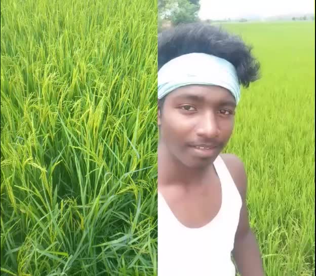 @பூபதிவிவசாயி D.EEE