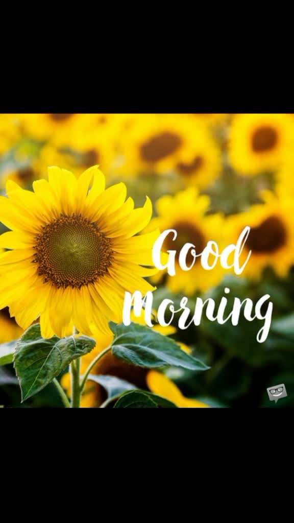 @Pinky Jayesh Sharma