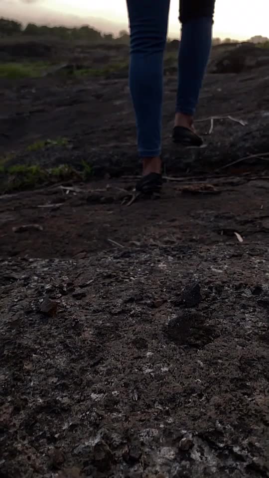 @VishvaD919
