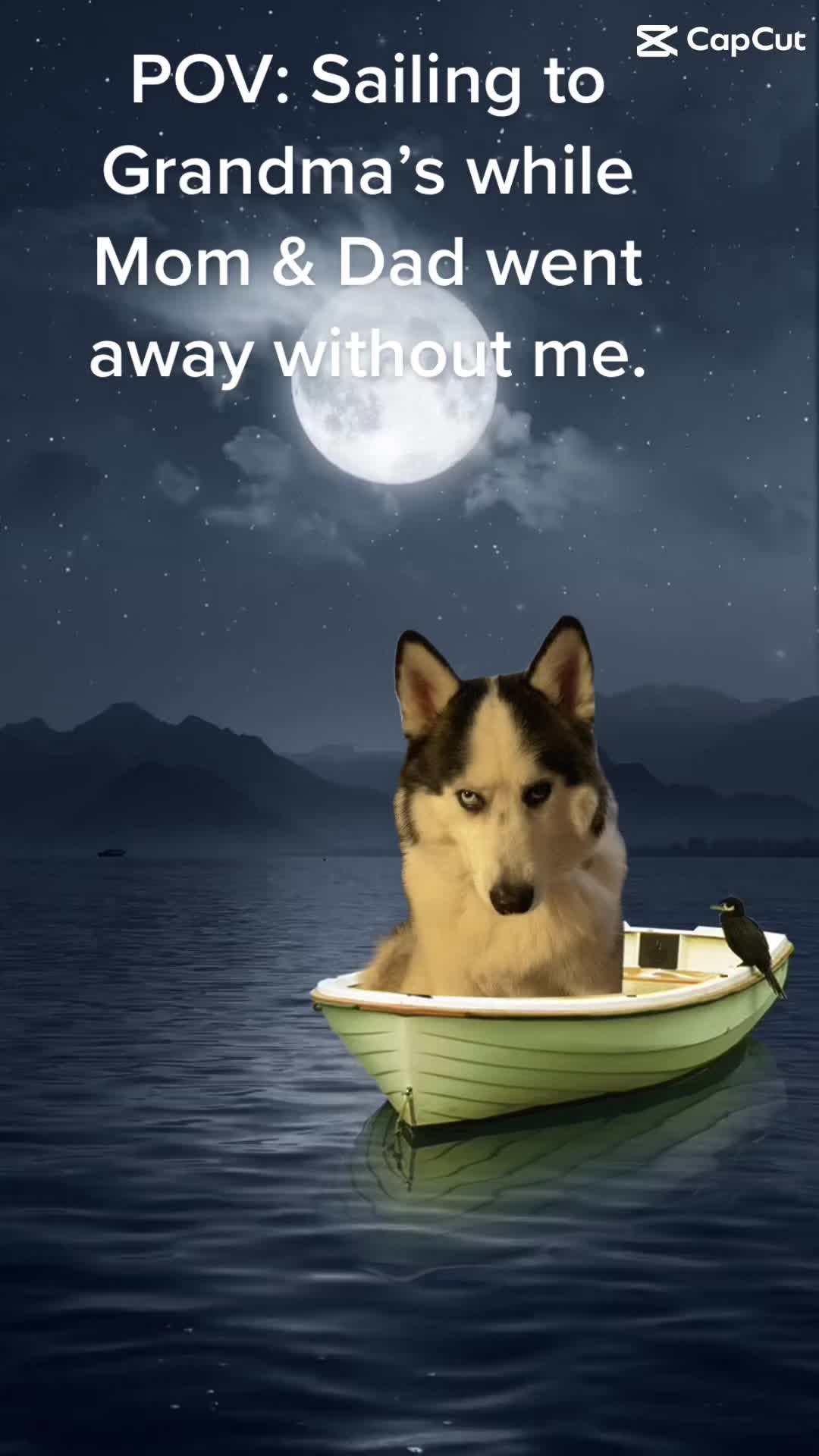 @Kimmy Kim