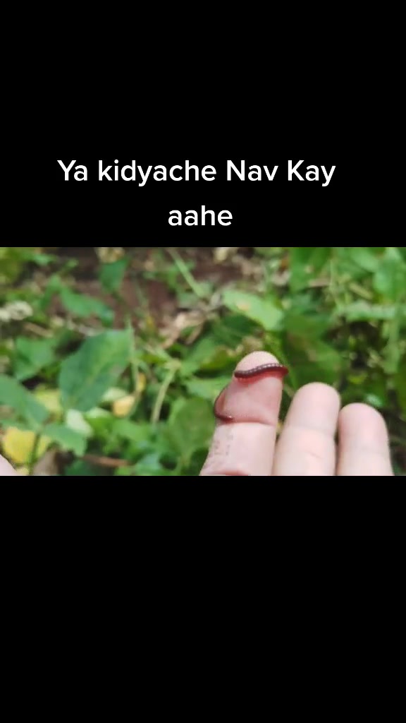 @sachin chavan