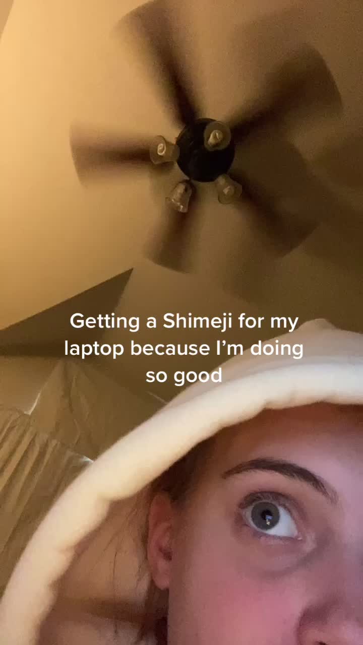 @๐๐ค๐ฃ๐๐ฎ โ๏ธ