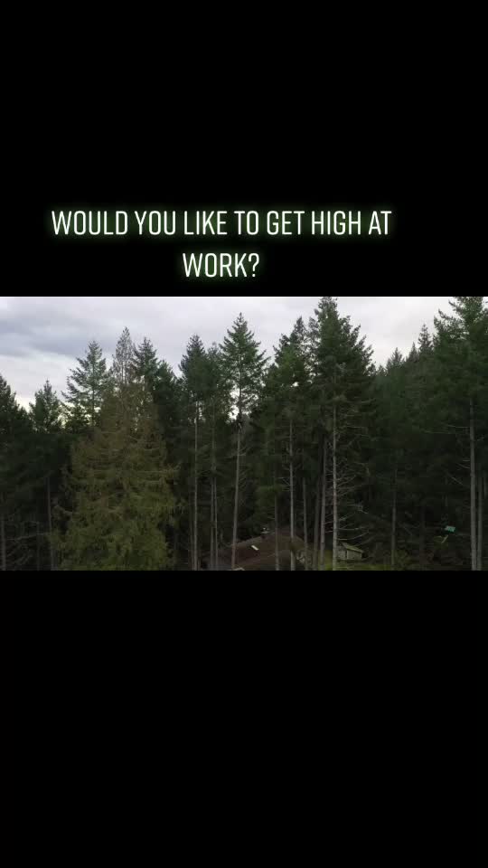 @Peter LaRue