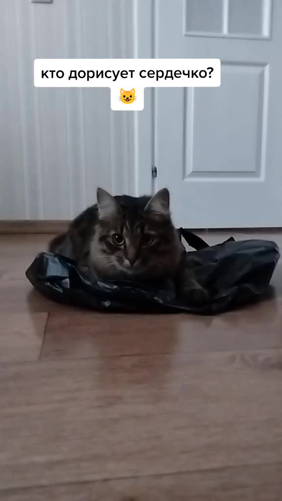@Марсик😺💖