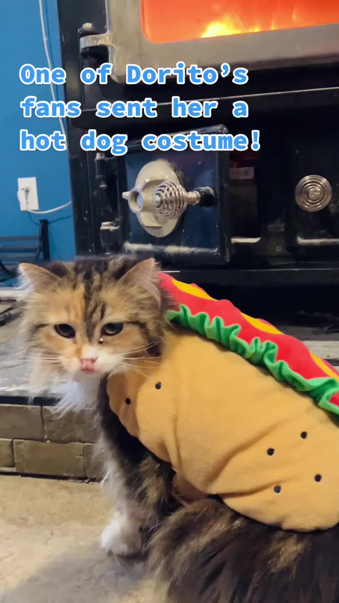 @QuibiDorito