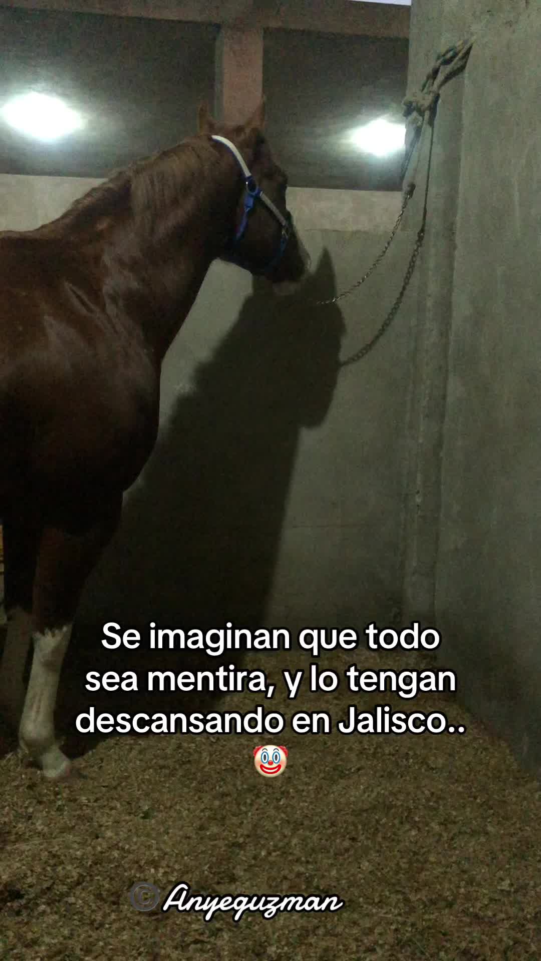 @Anye guzman🏇🏻
