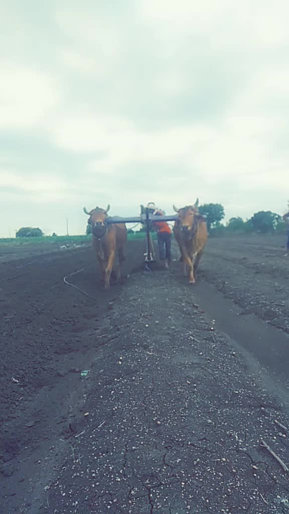@Nitin Ingole Patil