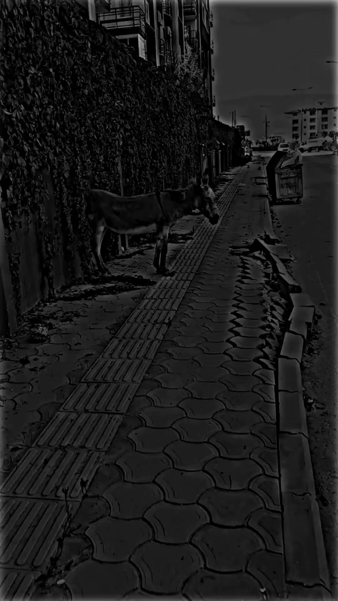 @هدااك اࢦسوريܔي♡