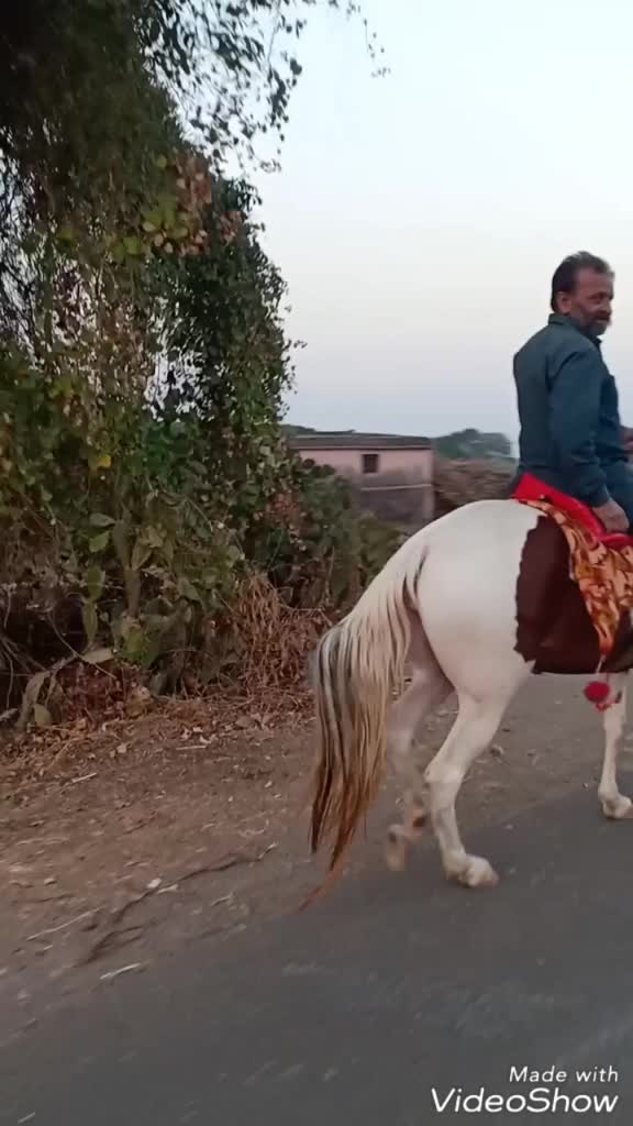 @Kapil Thakar