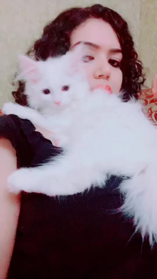 @singh shivangi