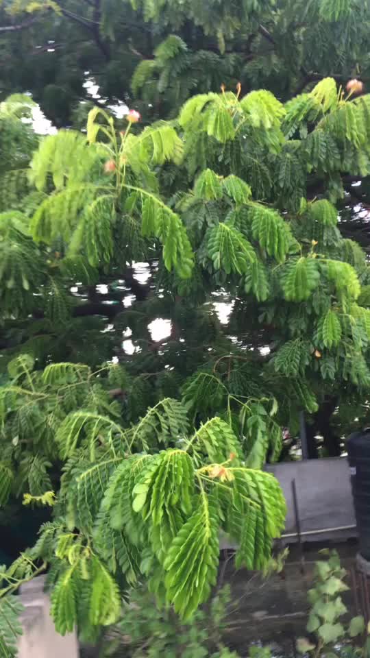 @&Agrave;tsu 💞