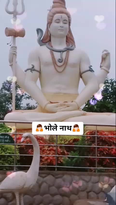 @rajnipatel7586