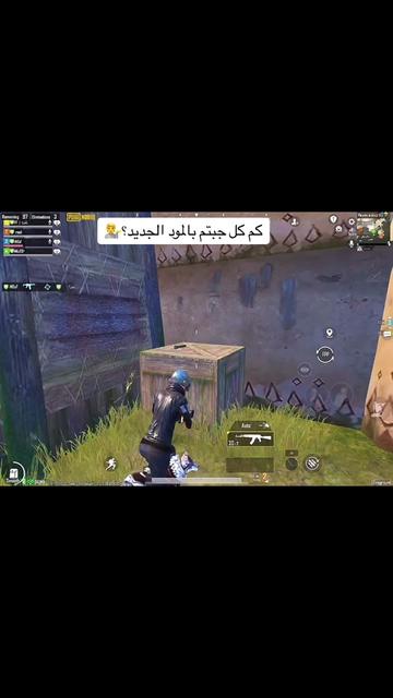 @ماجد