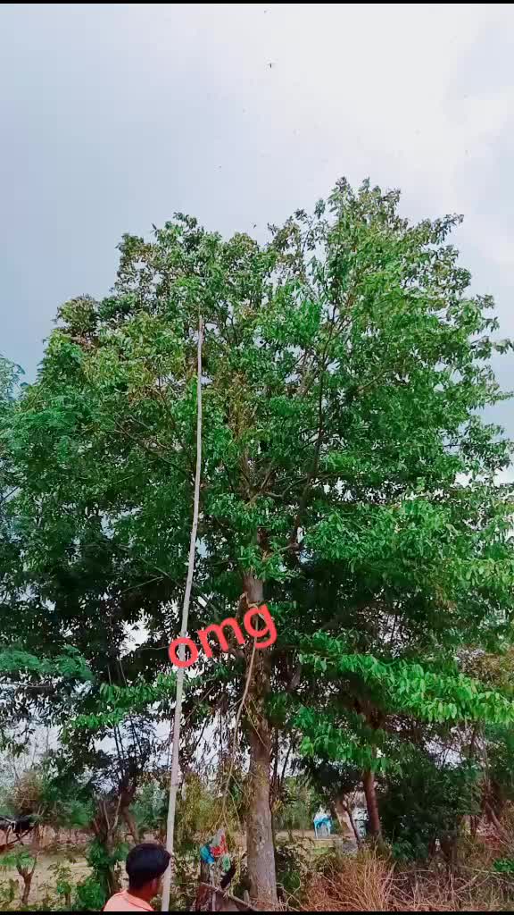 @user934012