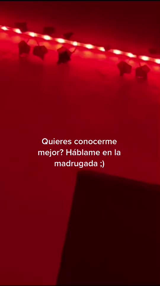 @🐢