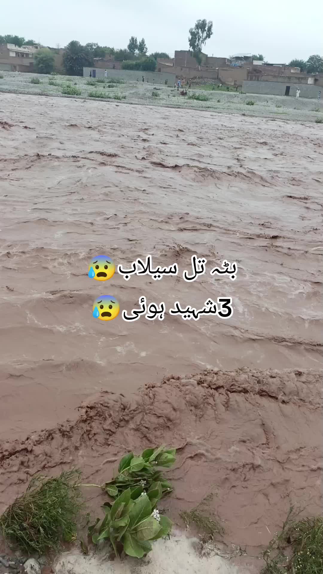 @👑❤️Ajwa khan❤️👑