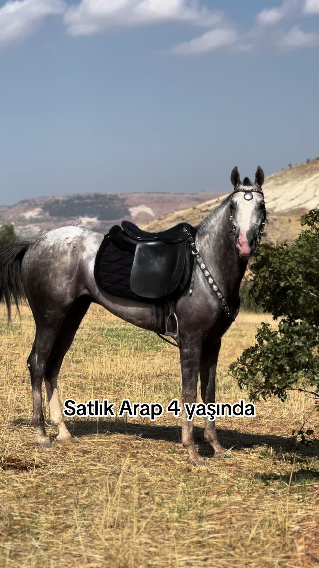 @𝐵𝐴𝑅𝑈𝑇𝐷𝑂𝑅𝑈