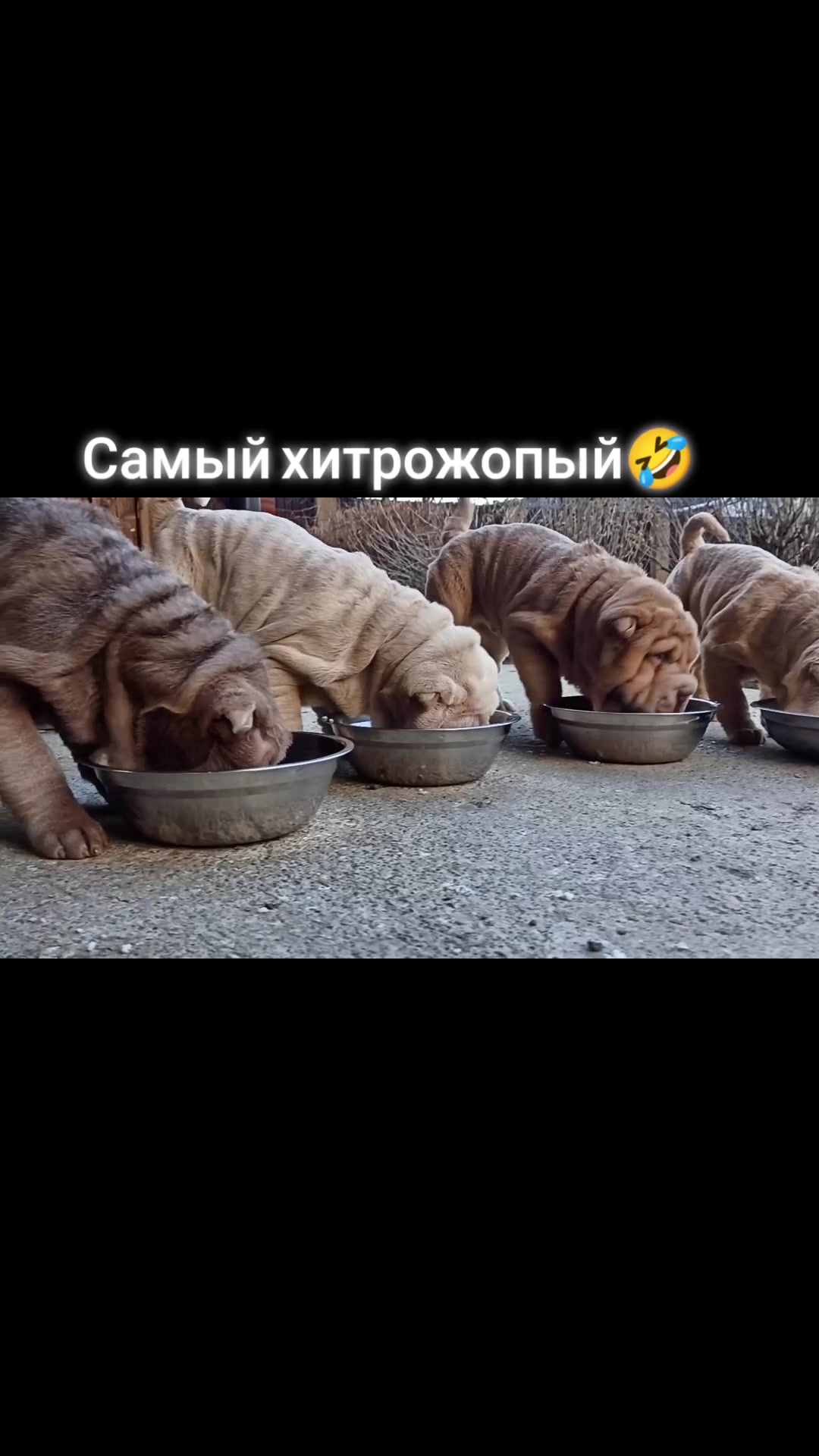 @rostikmozhak