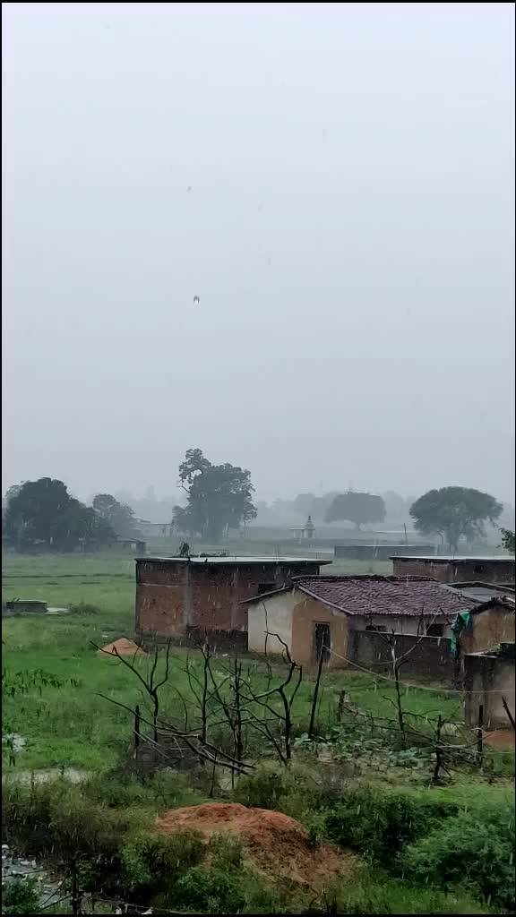 @kumaruu