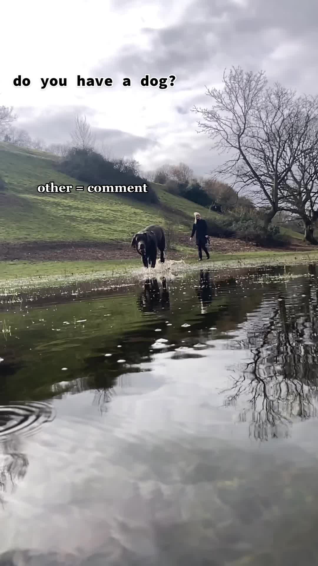 @🐾 𝑻𝒆𝒅𝒅𝒚🐾
