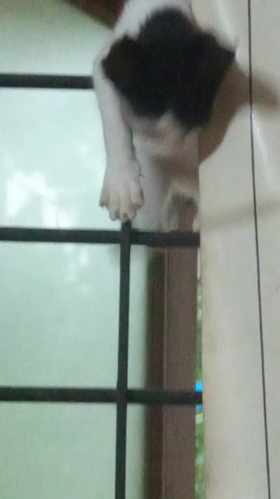 @kunjava muthu