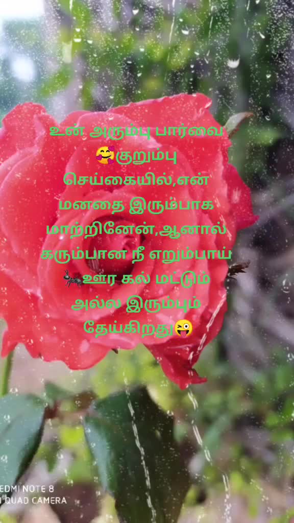 @💋இதய💋 திருடன்💋