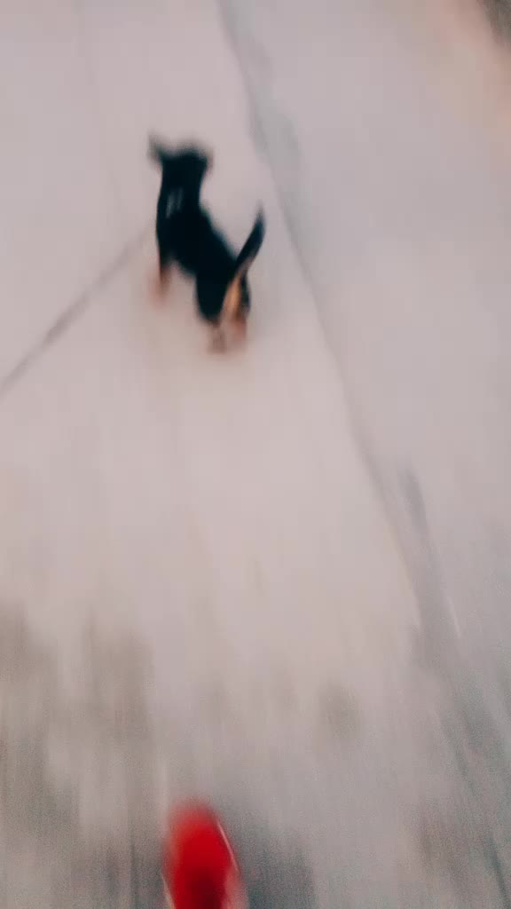 @G.Z