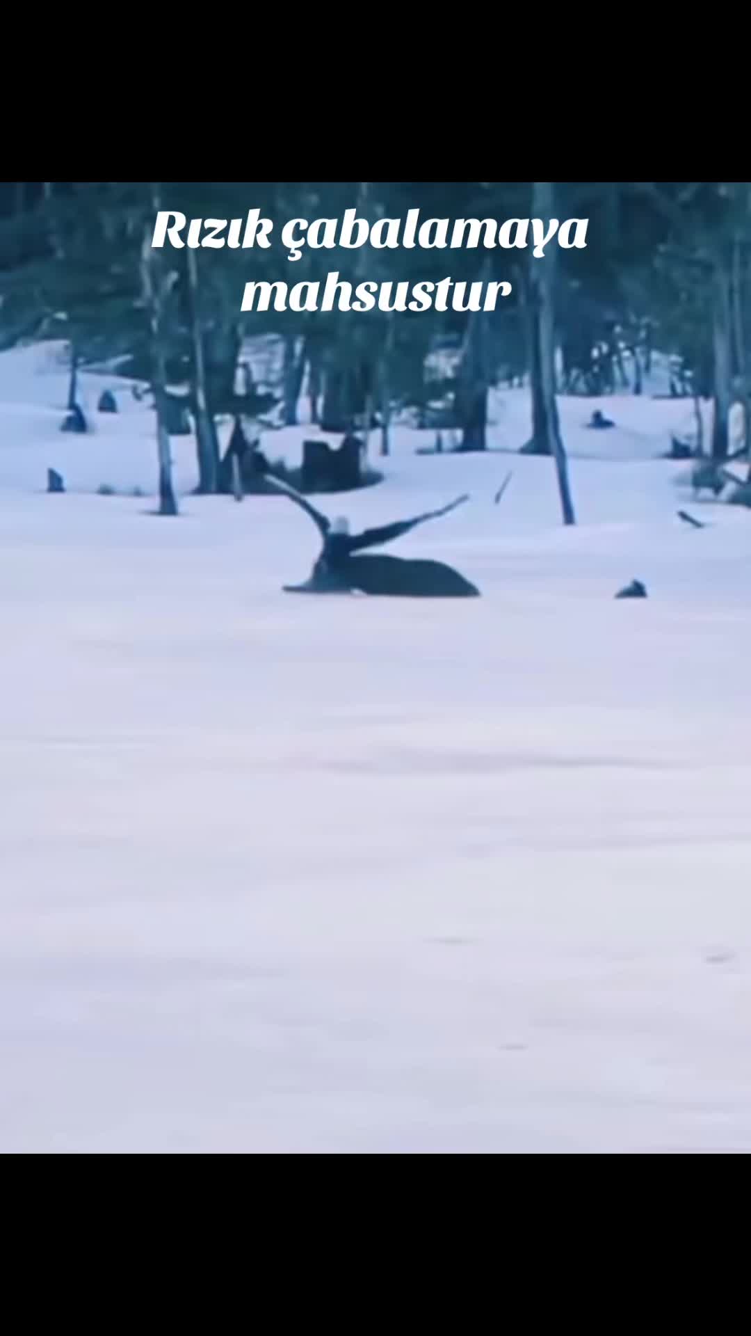 @𝒮𝑒𝒸𝓀𝒾𝓃0614💯