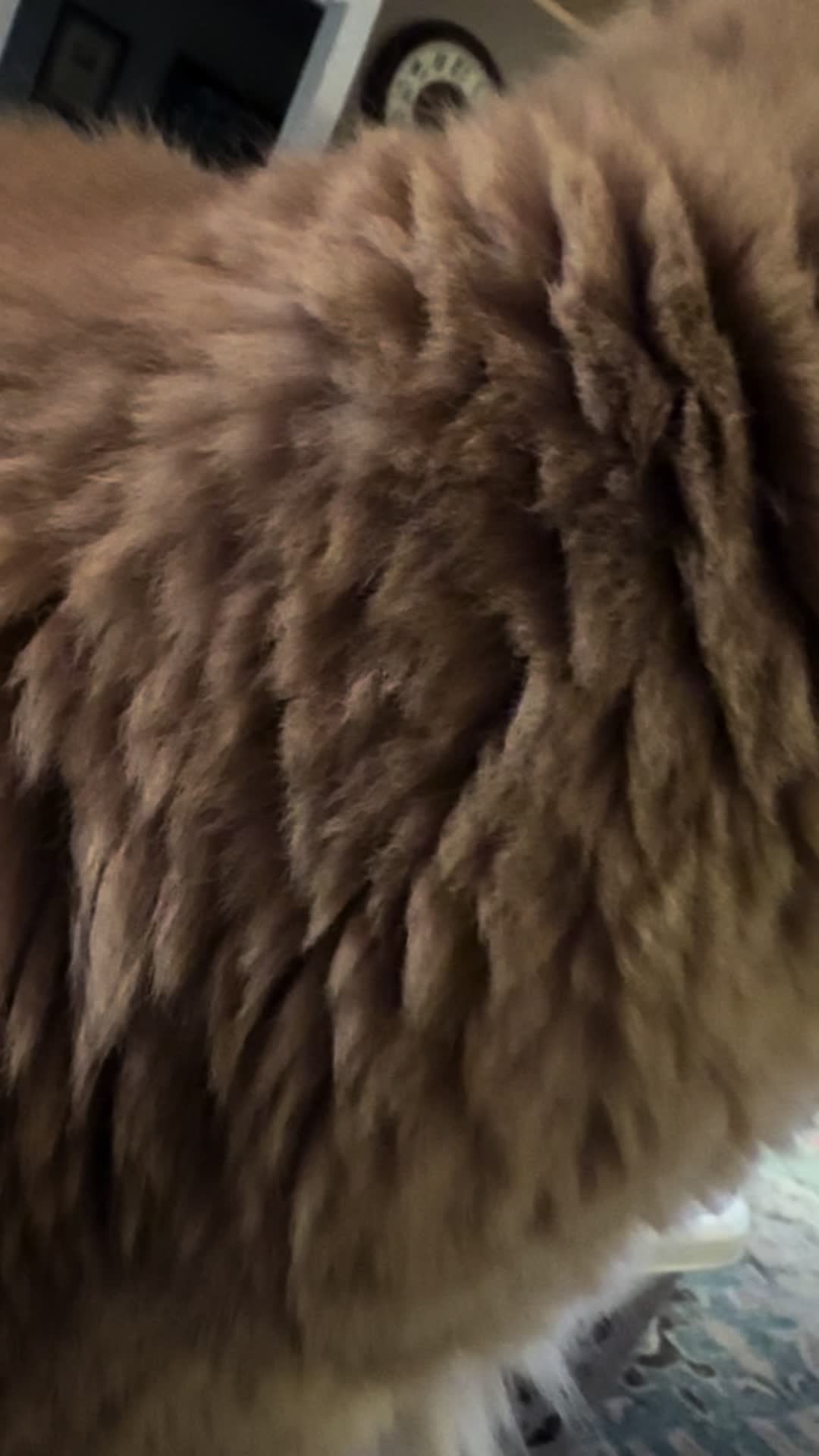 @shelburritosupreme