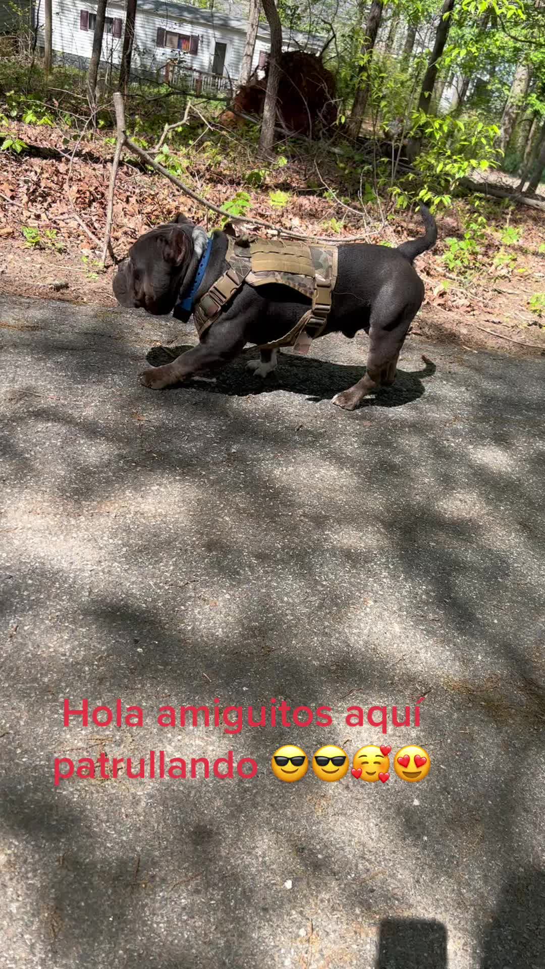 @Ana De La O Morales
