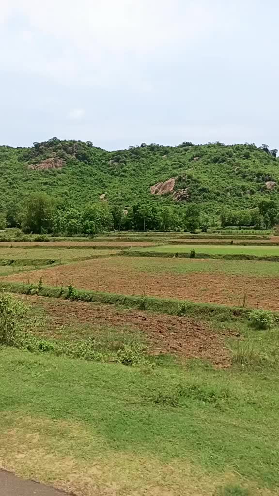 @Bidhurita Bhatt