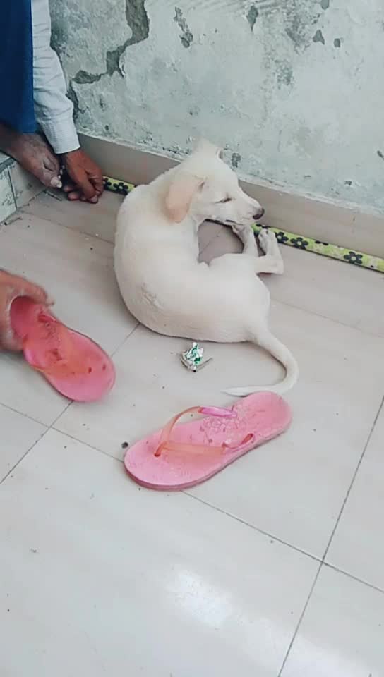 @Subham Rajput