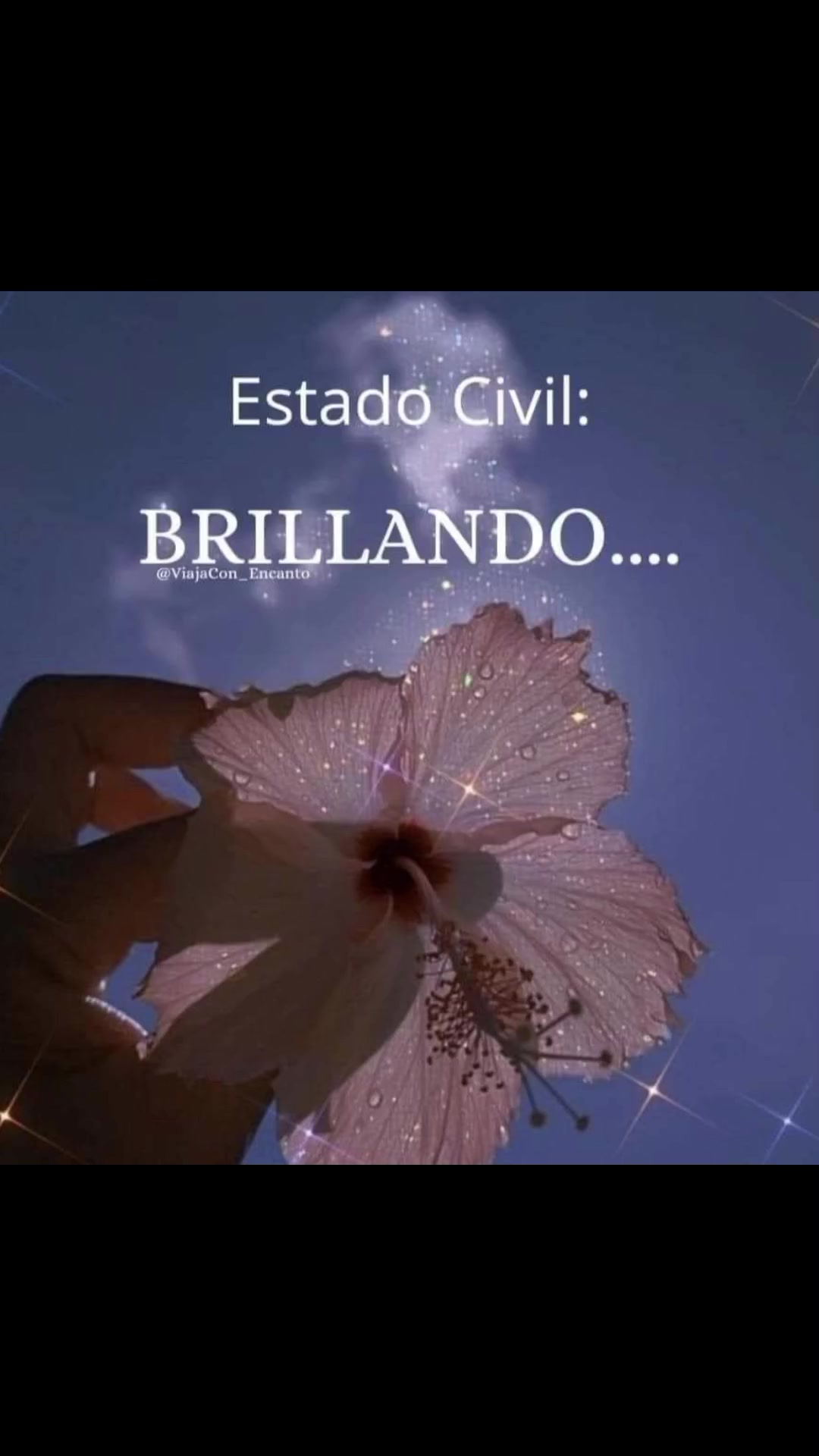 @VALLE 2024