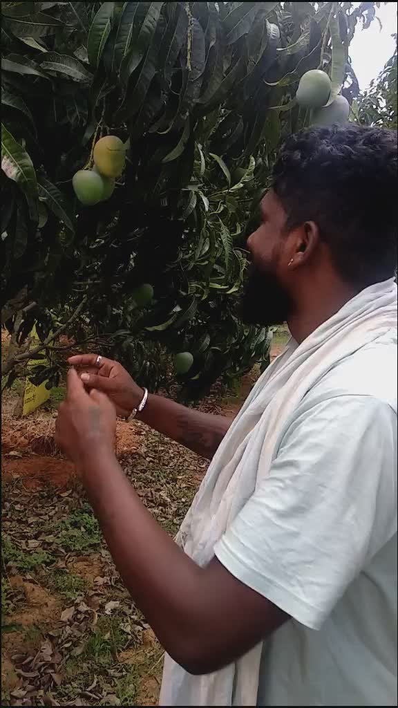 @PAKKA KANNADA HUDUGA