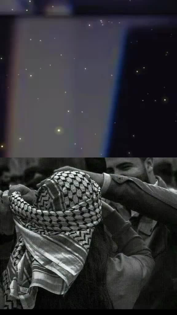 @Şilan🕊