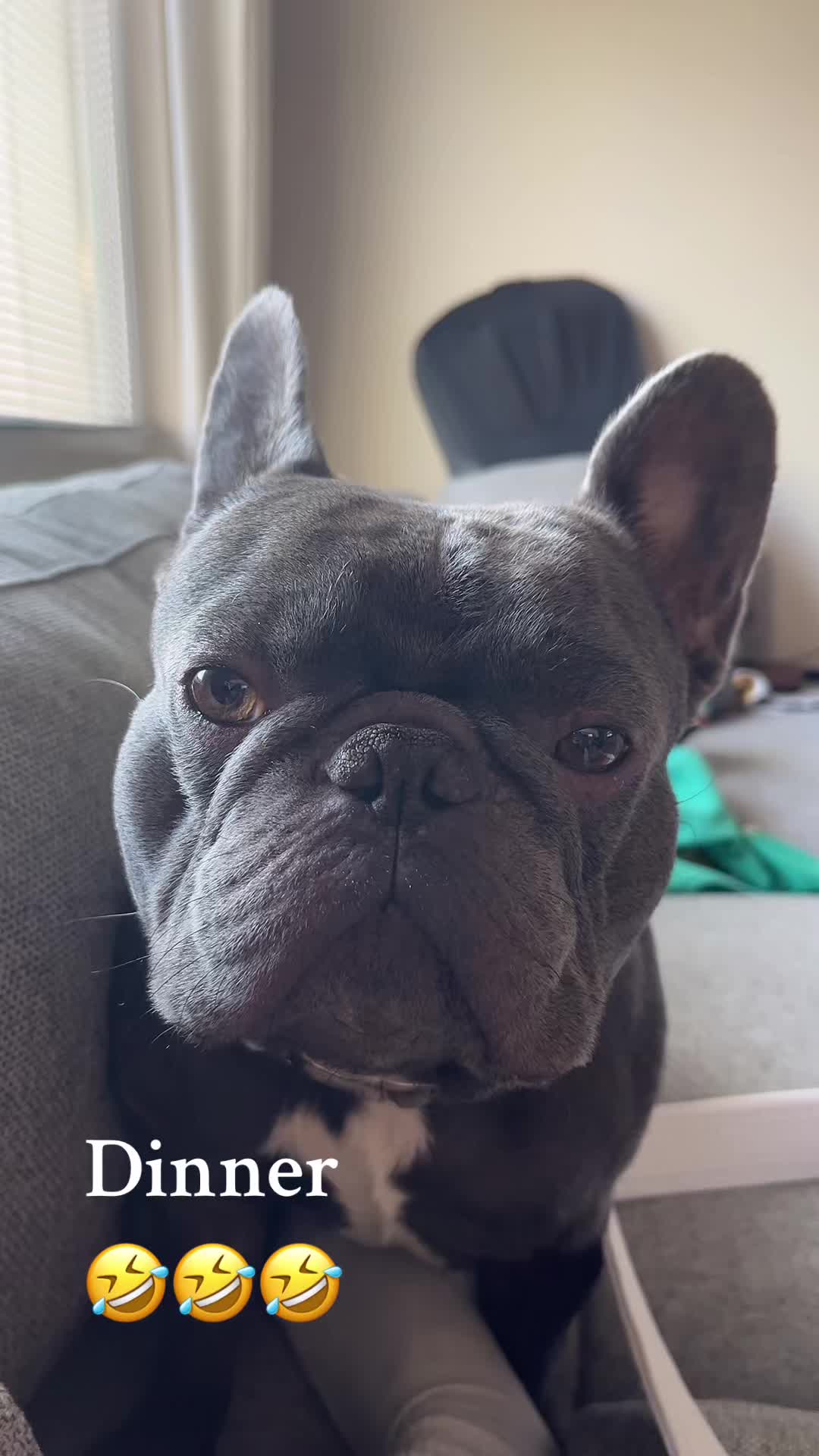@Shaq Diesel