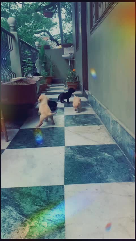 @Saurav Sharma