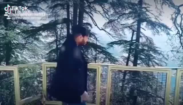@ਬਾਮਣ