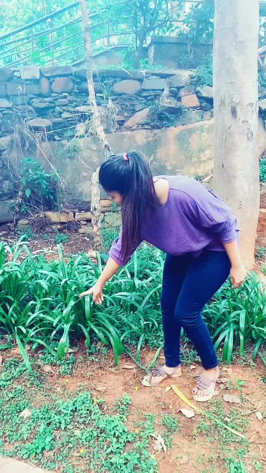 @Rajinigopi