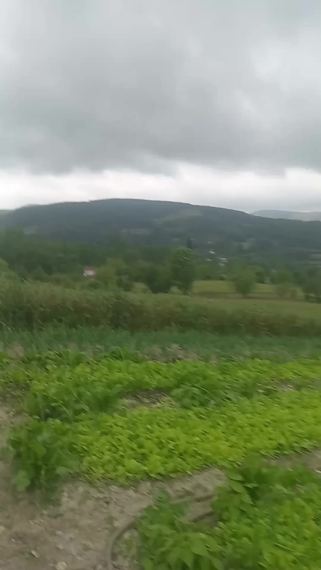 @userrr