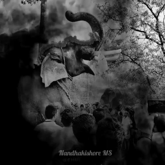 @Nandhakishore M.S