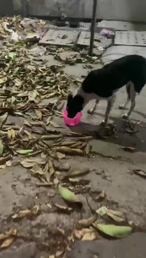 @Amit kumar